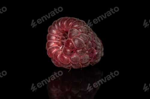 Preview: One Whole Fresh Crimson Raspberry Isolated On Black Glass