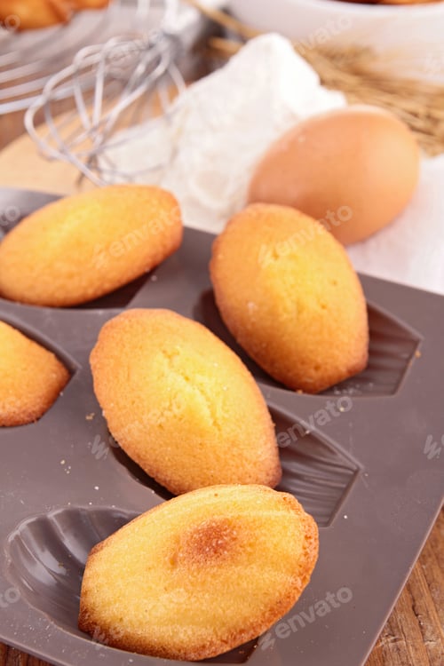 Golden Madeleine Cakes Freshly Baked for Dessert