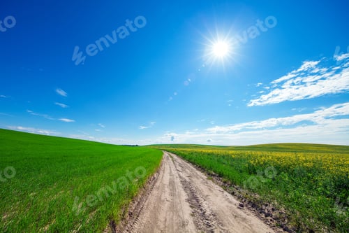 Preview: Green Field And Beautiful Sunset