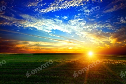 Preview: Green Field And Beautiful Sunset