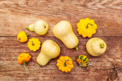 Preview: Autumn Harvest Pumpkins. Set Of Different Types Of Squash. Healthy Food Cooking Background. Old