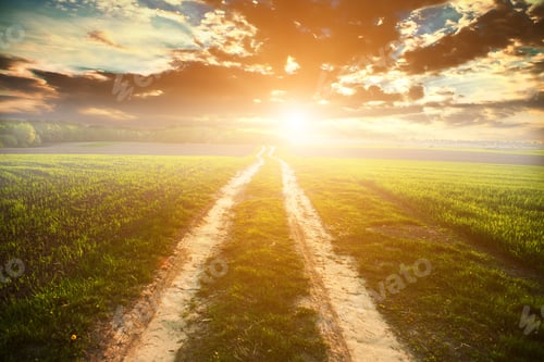 Preview: Green Field And Beautiful Sunset