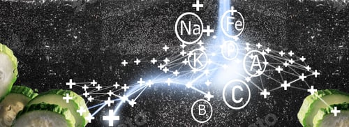 Preview: Water Drops On Ripe Cucumber. Fresh Vegetables Background With Copy Space For Your Text. Vegan And