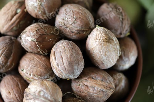 Preview: Selective Focus. Walnuts In A Bowl. Walnut Leaves Walnuts In A Green Peel. Harvest Walnuts.