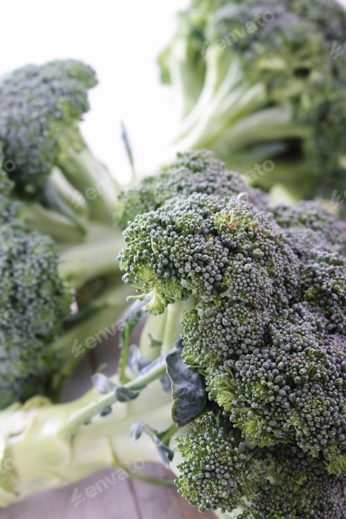 Preview: Fresh Broccoli Isolated On White