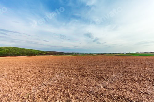 Preview: Green Field And Beautiful Sunset