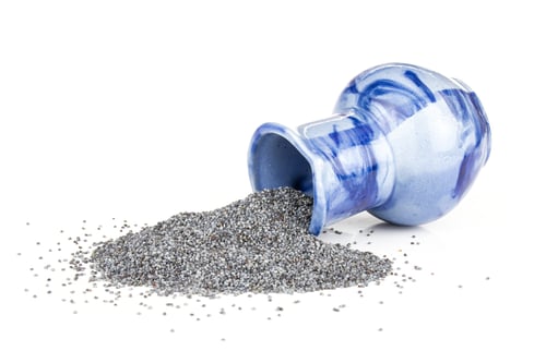 Preview: Lot Of Whole Dry Czech Blue Poppy Seeds With Blue Jar Isolated On White Background