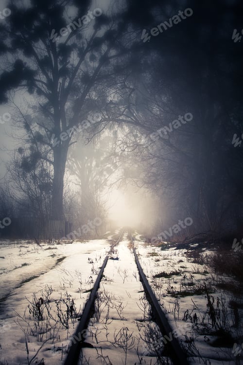 Preview: Fog On A Snowy Railway Line.