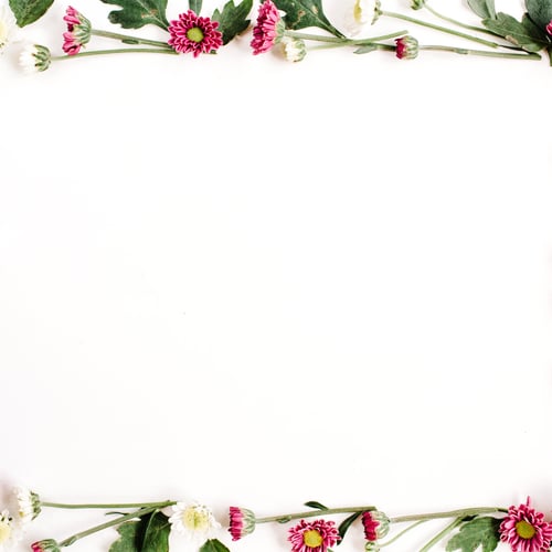 Preview: Frame Wreath With Red And White Wildflowers, Green Leaves, Branches On White Background. Flat Lay