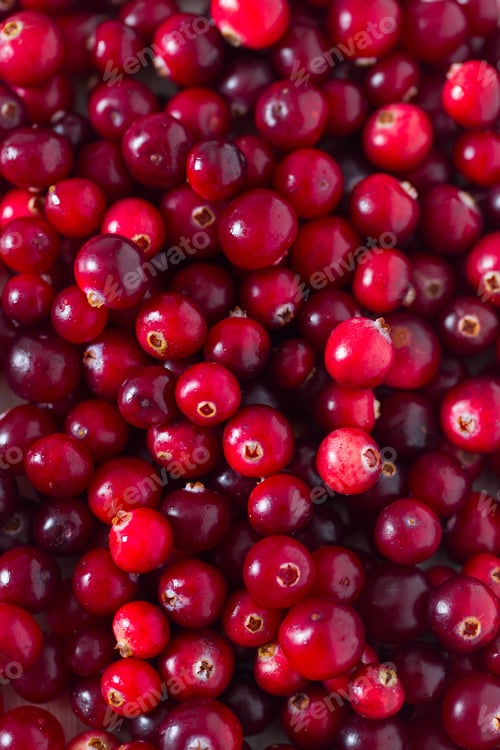 Preview: Fresh Cranberries On White Wooden Surface