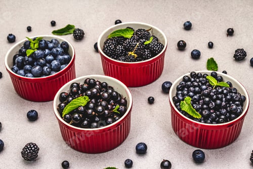 Preview: Assorted Berries In Blue And Black Colors: Bilberry, Blueberry, Currant And Blackberry. Stone