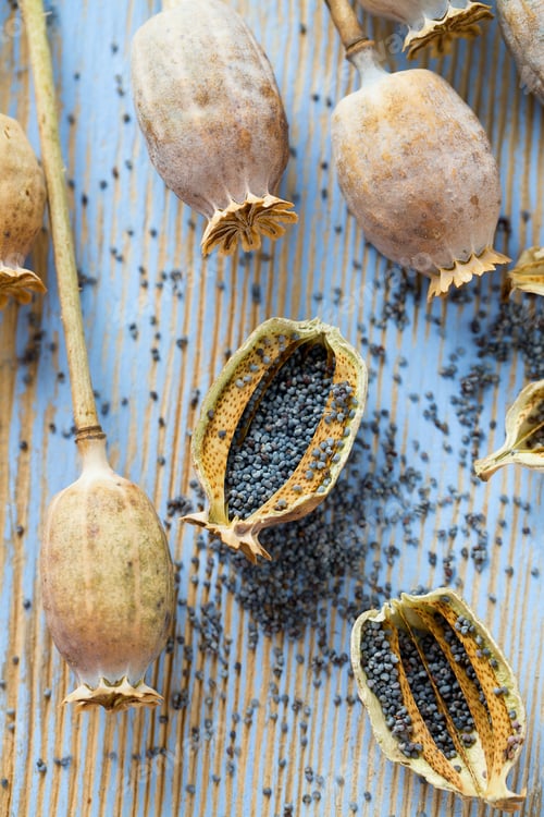 Preview: Poppy Seeds On Wooden Surface