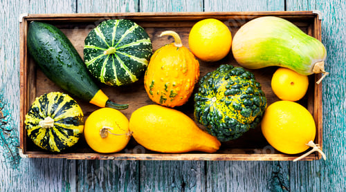 Preview: Beautiful Autumn Seasonal Background With Pumpkins.Autumn Nature Concept