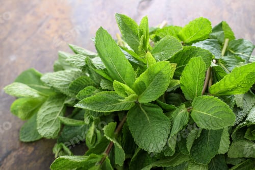 Preview: Preparing Fresh Mint Herb