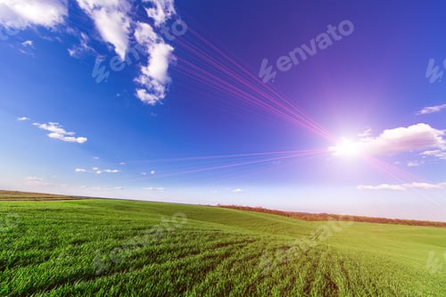 Preview: Green Field And Beautiful Sunset