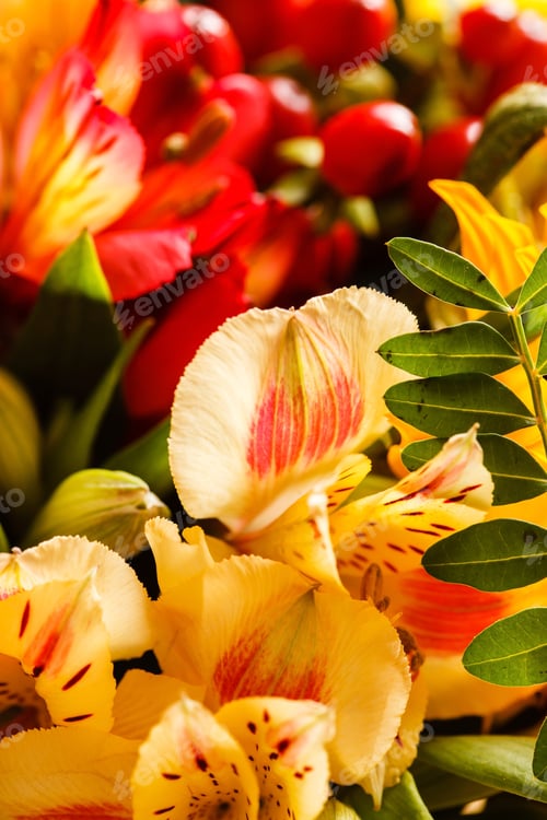 Preview: Nice Flowers Closeup