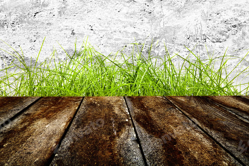 Vista previa: Old Wall And Green Grass On Wood Floor Background
