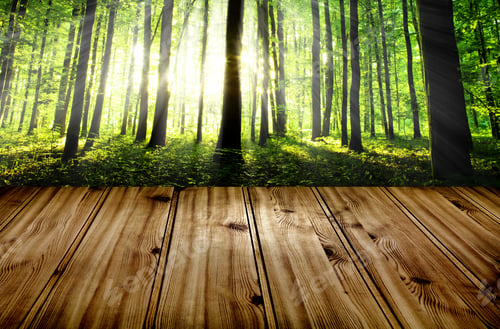 Preview: Wood Texture. Background Old Panels