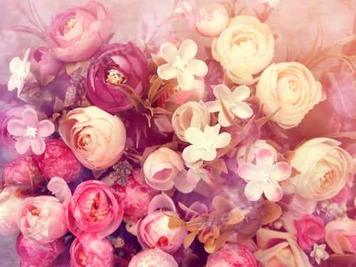 Preview: Peony Flowers Bush Floral Spring Background Greeting Card