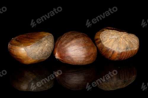Preview: Group Of Three Whole Edible Brown Chestnut Isolated On Black Glass