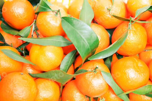 Preview: Mandarin Oranges On Market