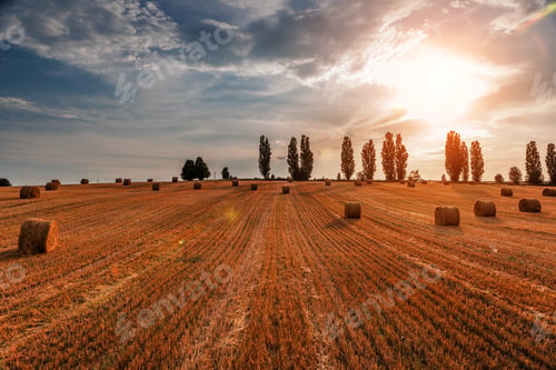 Preview: Wheat Field After Harvest With Straw Bales At Sunset