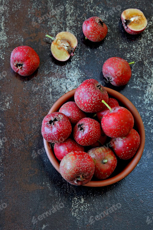 Preview: Large Hawthorn Berries On A Stylish Dark Background.