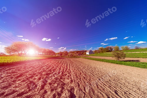 Preview: Green Field And Beautiful Sunset