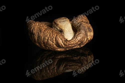Preview: One Whole Dry Mushroom Shiitake Isolated On Black Glass