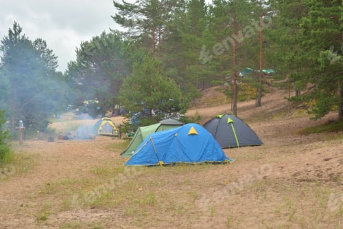 Preview: Camping Tents In Pine Forest At Summer Day.