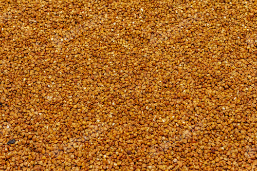 Preview: Dry Buckwheat Grain Background. Wallpaper, Backdrop, Card, Template, Pattern, Place For Text