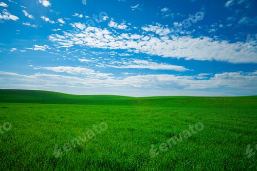 Preview: Green Field And Beautiful Sunset