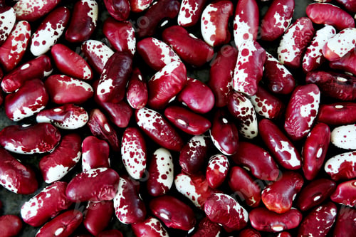 Preview: Red White Beans Scattered.