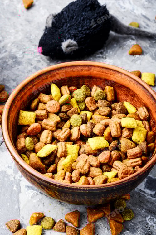 Preview: Dry Cat Food In A Clay Bowl