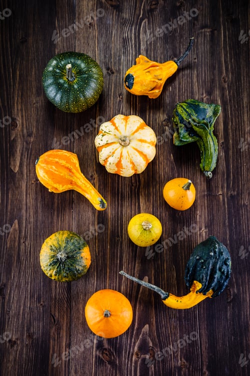 Preview: Pumpkins On Planks