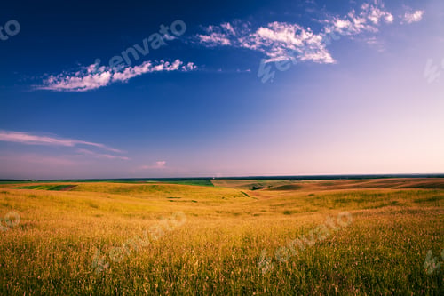 Preview: Green Grass Under Blue Sky