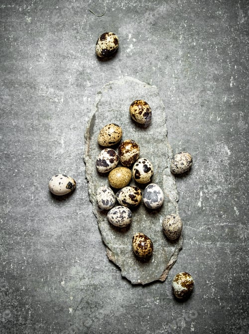 Preview: The Quail Eggs. On The Stone Table.
