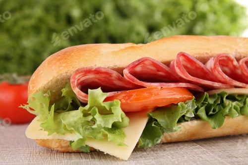 Preview: Sandwich