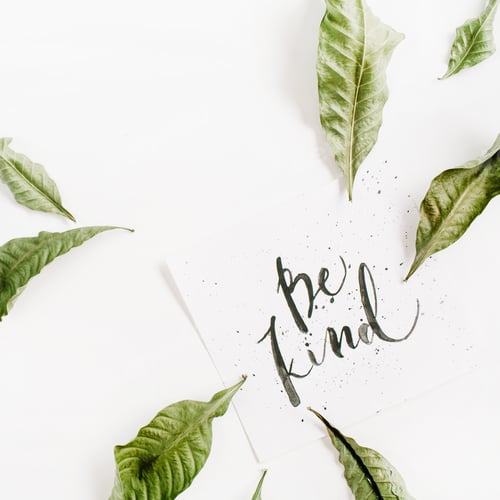 Preview: Minimalistic Composition With Words Be Kind Written In Calligraphic Style On Paper With Leaf Frame