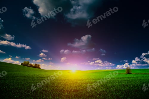 Preview: Green Field And Beautiful Sunset