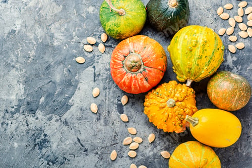 Preview: Big Set Of Autumn Pumpkins.Autumn Symbol.Mini Pumpkin