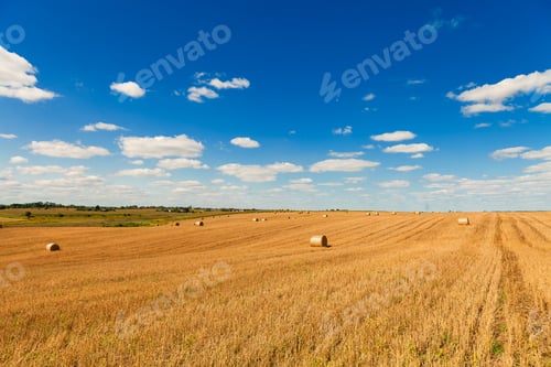 Preview: Wheat Field After Harvest With Straw Bales At Sunset