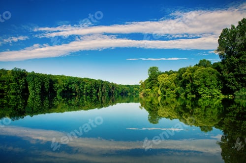Preview: Picturesque Forest And The River