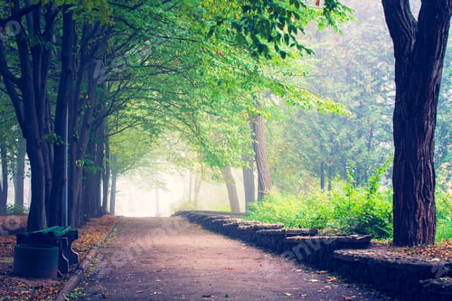 Preview: Beautiful Avenue In To The Park