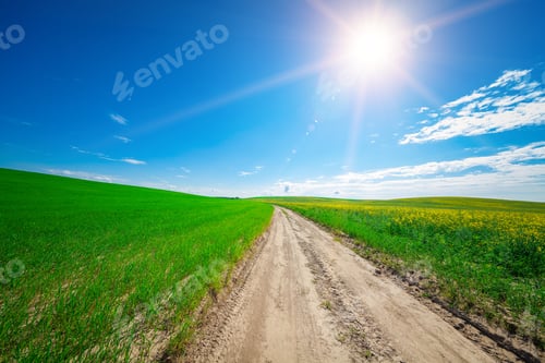 Preview: Green Field And Beautiful Sunset