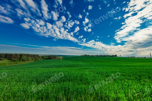 Preview: Green Field And Beautiful Sunset