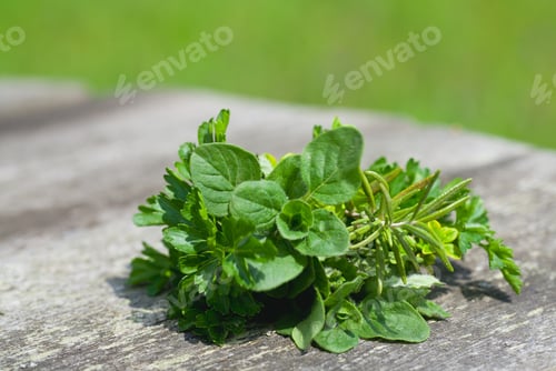 Preview: Herbs On Wooden Table In The Garden