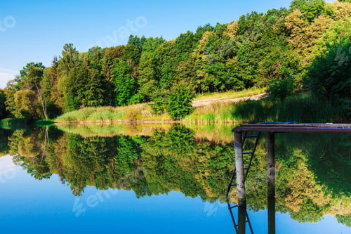 Preview: Picturesque Forest And The River