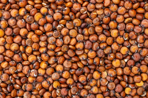 Preview: Lot Of Whole Raw Red Quinoa Seeds Macro Flatlay Isolated On White Background