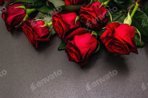 Preview: Bouquet Of Fresh Burgundy Roses On A Black Stone Concrete Background. Fragrant Red Flowers, Gift